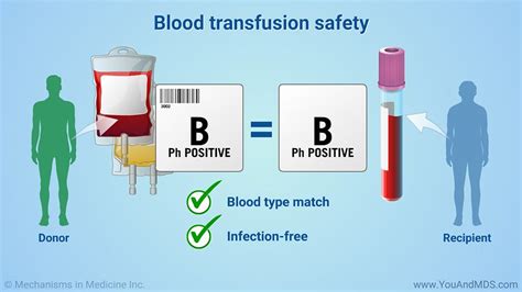 The Promise of Positive Osseointegration in Reducing Blood Transfusion Risks